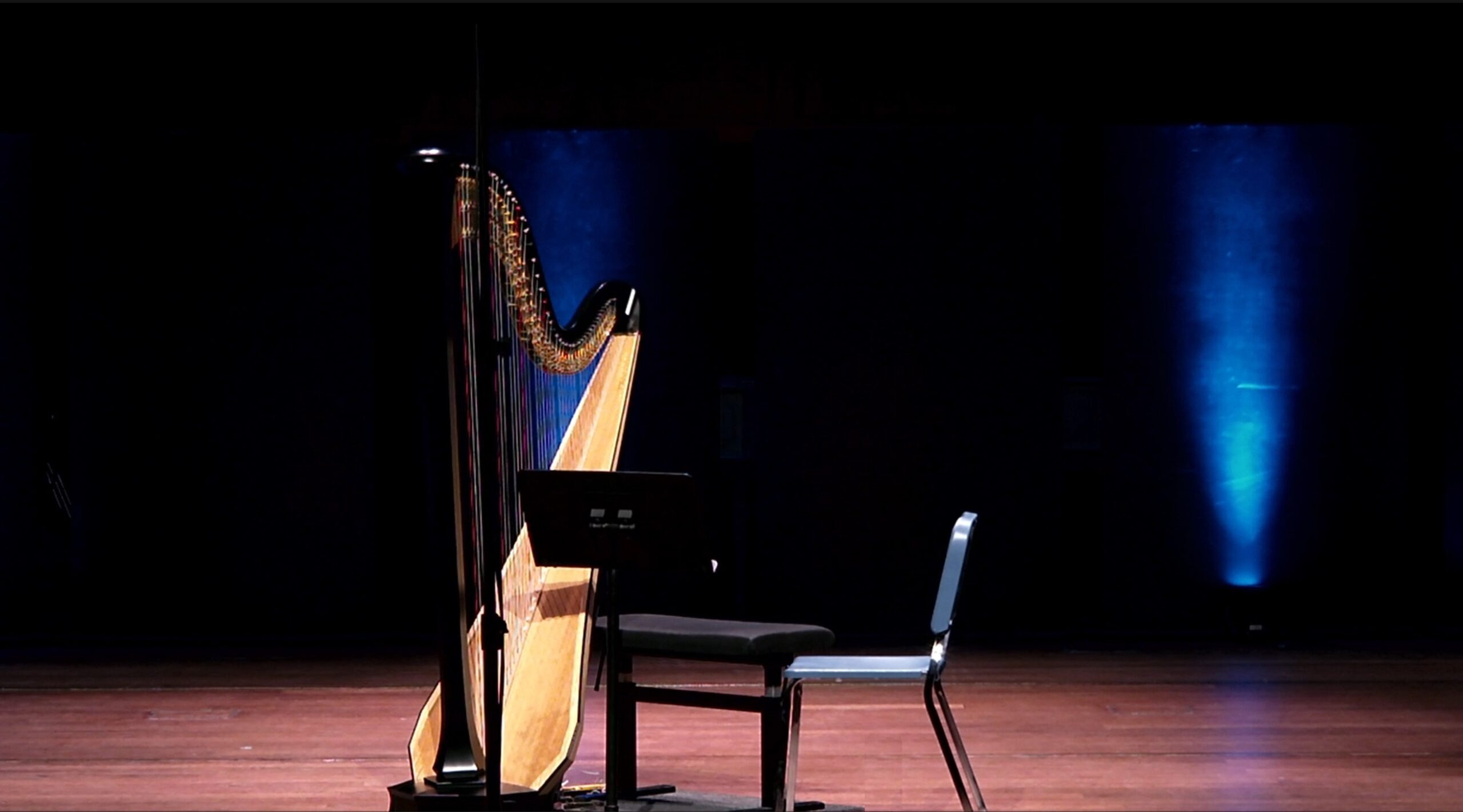 Harpist Sanni Korpelainen